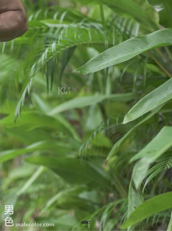 Addict--The-Premium-Issue